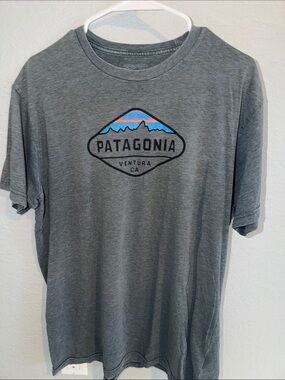 Patagonia Short-Sleeve Grey Logo Tee with Color Stripe Graphic